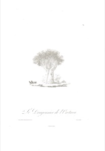 Vues des Cordillères — Humboldt, lámina — Viajeros naturalistas