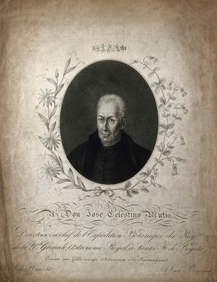 Celestino Mutis — José Celestino Mutis