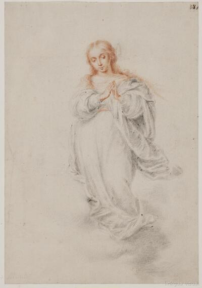 La Inmaculada Concepción, Virgen María