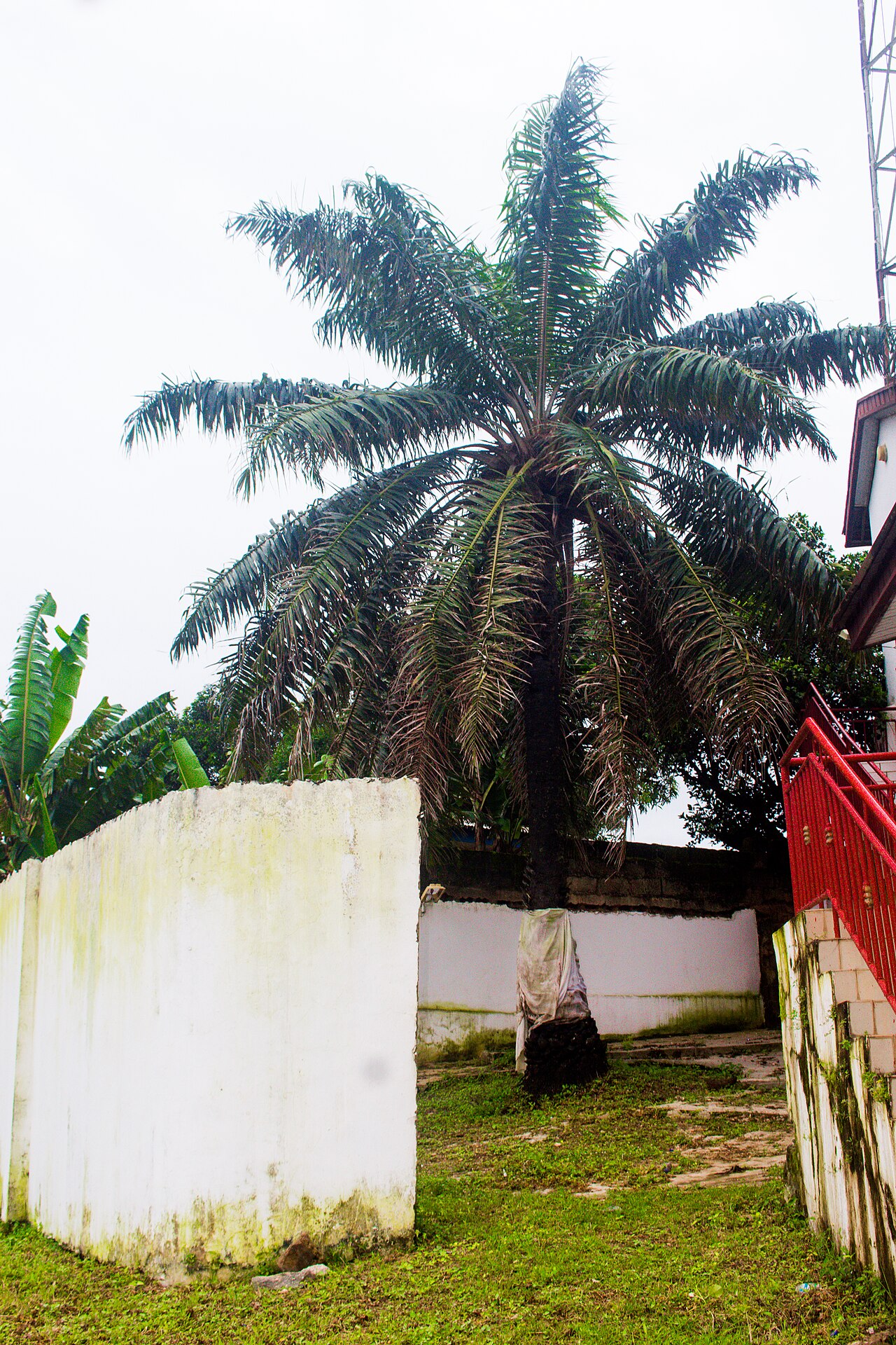 Ifa Temple 06