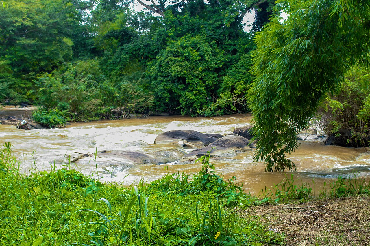 El río sagrado de Osun 02
