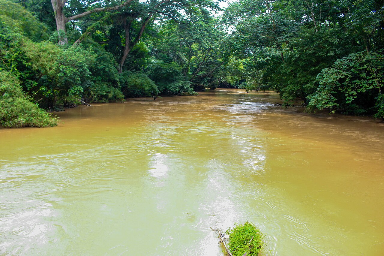 El río sagrado de Osun 01